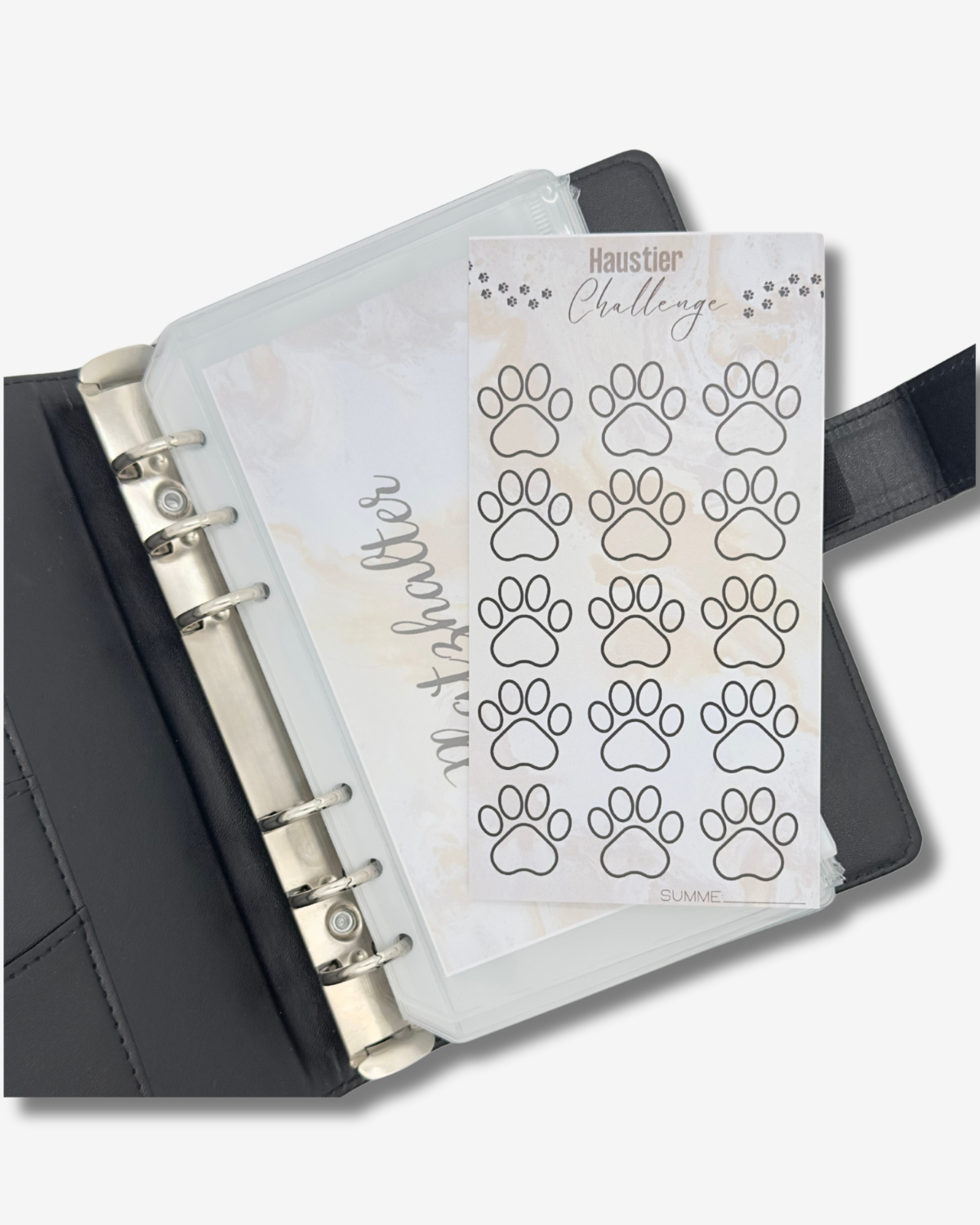 Budget Binder Challenges A6