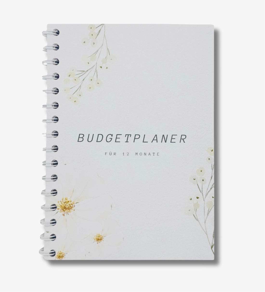 Budget Planer A5 mit Anleitung 144 Seiten